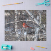 Mousseline Cardinal 2926 Papier Tissu (Artisanat)