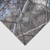 Mousseline Cardinal 2926 Papier Tissu (Détail)