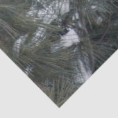 Mousseline Cardinal 3093 Papier Tissu (Détail)