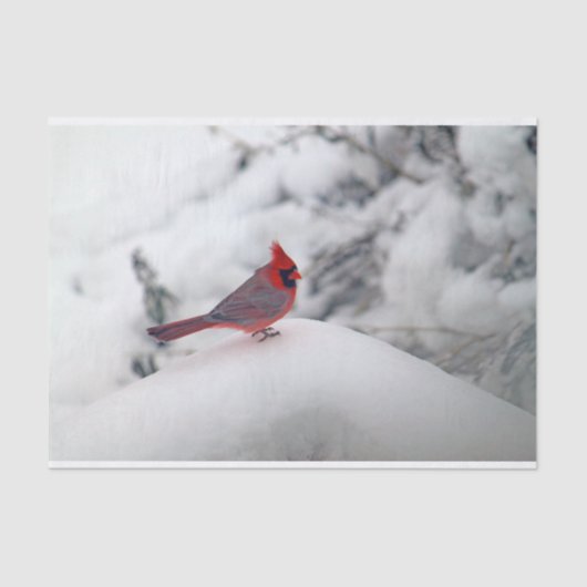 Mousseline Cardinal 6239 Papier Tissu (Recto)