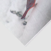 Mousseline Cardinal 6239 Papier Tissu (Détail)