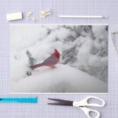 Mousseline Cardinal 6239 Papier Tissu (Artisanat)