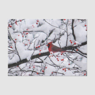 Mousseline Cardinal 6254 Papier Tissu