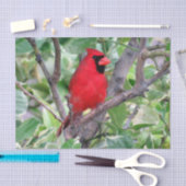 Mousseline Cardinal dans un citron - Papier Tissu (Artisanat)