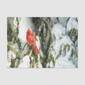 Mousseline Cardinal En Hiver Pine Tree Tissu Papier (Recto)