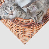 Mousseline chatons dans un papier de tissu en panier (Détail)