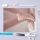 Mousseline Chaussures de ballet Papier Tissu (Artisanat)