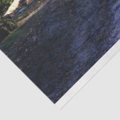 Mousseline Chemin du paysage forestier 24 Feuillet de papier (Détail)