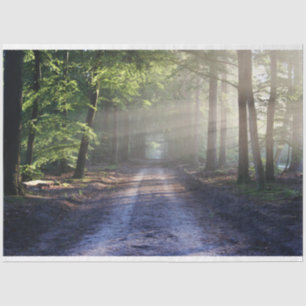 Mousseline Chemin du paysage forestier 24 Feuillet de papier