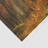 Mousseline Chemin forestier Automne 13 Découpage Papier papie (Détail)