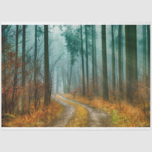 Mousseline Chemin forestier Automne 13 Découpage Papier papie (Recto)