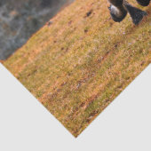 Mousseline Chevaux Galloping Decoupage papier Tissu (Détail)