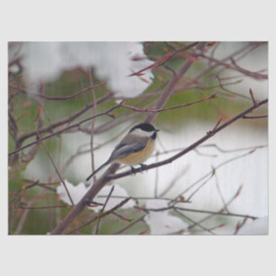 Mousseline Chickadee 6259 Papier Tissu