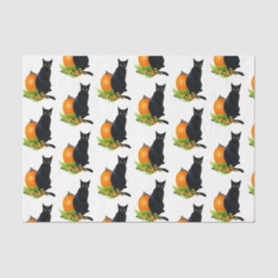 Mousseline Citrouille noir de chat Ferns Papier de tissus