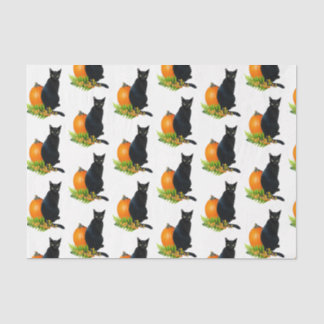 Mousseline Citrouille noir de chat Ferns Papier de tissus
