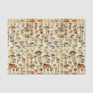 Mousseline Collection de champignons Papier de tissus
