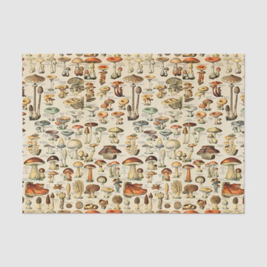 Mousseline Collection de champignons Papier de tissus (Recto)