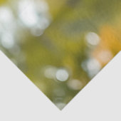 Mousseline Collie dans l'herbe décou papier page (Détail)