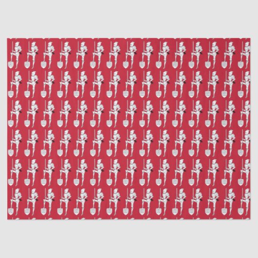 Mousseline "Costume d'Armor DIVA" TISSUE PAPIER (Recto)