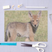 Mousseline Coyote papier tissu (Artisanat)