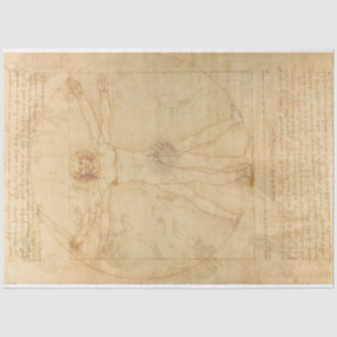 Mousseline Da Vinci Vitruvivić Papier de découpage