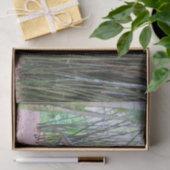 Mousseline Daspletosaur - Dinosaure Papier Tissu (Cadeau)