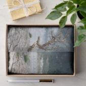 Mousseline Dauphin Désert Déchoupage Papier Tissu (Cadeau)