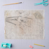 Mousseline Dessin botanique, papier de découpage d'écriture a (Artisanat)