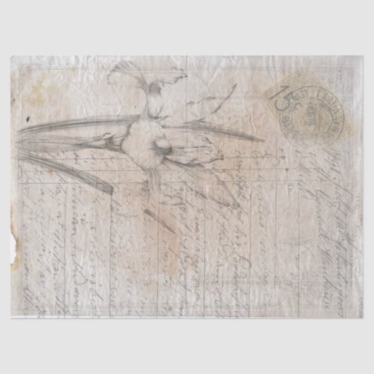 Mousseline Dessin botanique, papier de découpage d'écriture a (Recto)