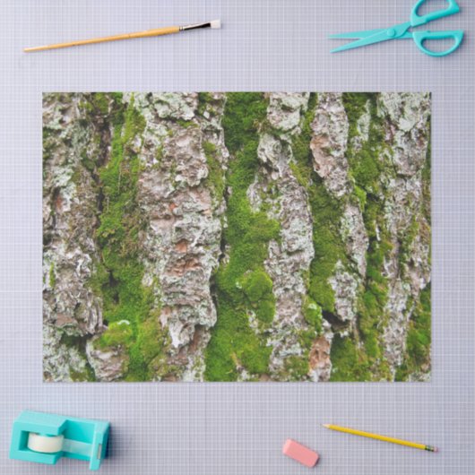 Mousseline Écorce De Pin Arbre Avec Papier Tissu De Moss (Artisanat)