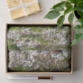 Mousseline Écorce De Pin Arbre Avec Papier Tissu De Moss (Cadeau)