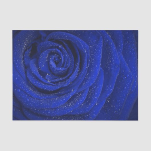 Mousseline Elégant papier rose bleu (Recto)