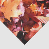 Mousseline Feuilles d'automne du plancher forestier Papier de (Détail)