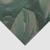 Mousseline Feuilles tropicaux papier de découpage texturé (Détail)