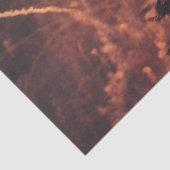 Mousseline Fireworks 20 papier tissulaire (Détail)