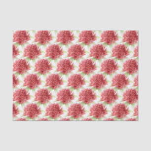 Mousseline fleur de Waratah aquarelle rouge papier tissue bot