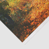 Mousseline Forêt Automne 12 Découpage Papier papier (Détail)