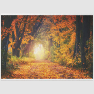 Mousseline Forêt Automne 12 Découpage Papier papier