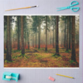 Mousseline Forêt Automne 16 Découpage Papier papier (Artisanat)