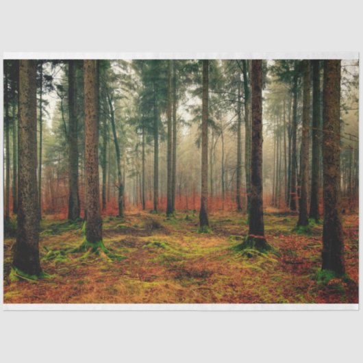 Mousseline Forêt Automne 16 Découpage Papier papier (Recto)