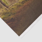 Mousseline Forêt d'Imaginaire Gothique 20x30 Découpage Papier (Détail)