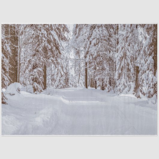 Mousseline Forêt Hiver 11 Découpage Papier papier (Recto)