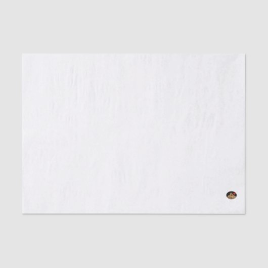 Mousseline HAMbyWG - 10lb Papier Tissu, bleu clair (Recto)