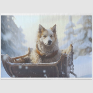 Mousseline Husky en papier découpage 1 à coudre