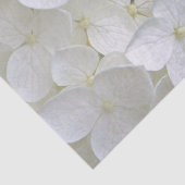 Mousseline Hydrangea 6775 Papier Tissu (Détail)