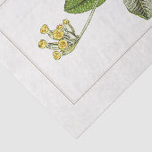 Mousseline Illustration botanique primitive 1885 Papier de ti (Détail)