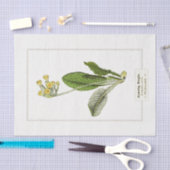 Mousseline Illustration botanique primitive 1885 Papier de ti (Artisanat)