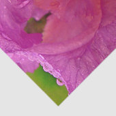 Mousseline Iris Beauty-Tissue Papier à enveloppement (Détail)