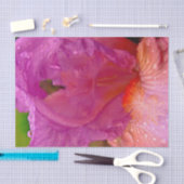 Mousseline Iris Beauty-Tissue Papier à enveloppement (Artisanat)