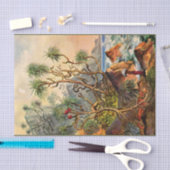 Mousseline Island Ernst Haeckel Découpage Papier de tissus (Artisanat)